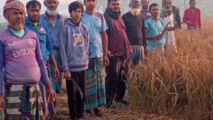 ছবি: সংগৃহীত