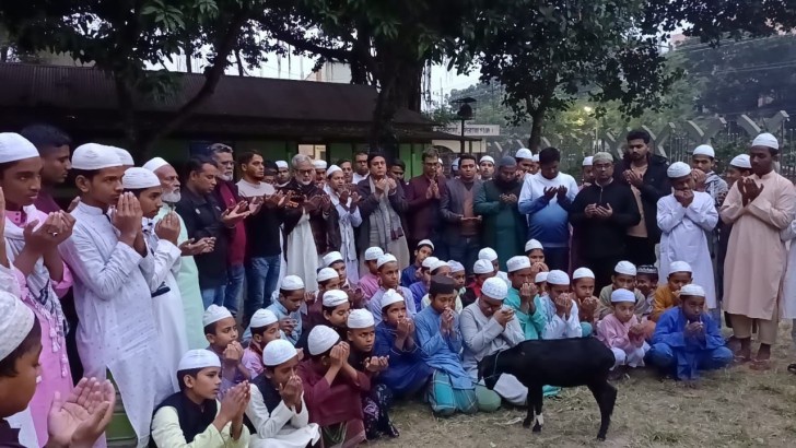 ছবি: সংগৃহীত