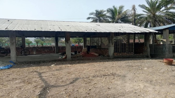 ছবি: নিউজ এক্সপ্রেস