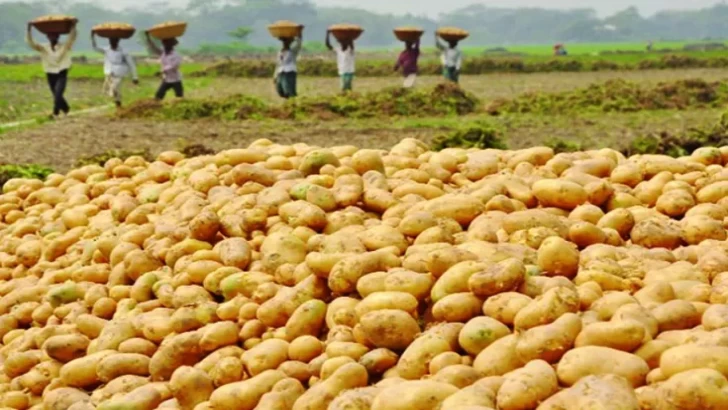 ছবি: সংগৃহীত