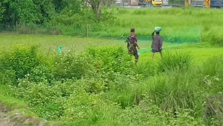 ছবি: সংগৃহীত