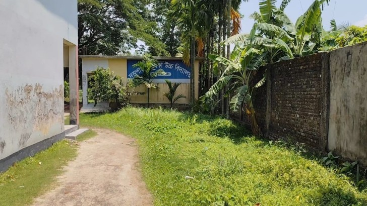 ছবি: সংগৃহীত