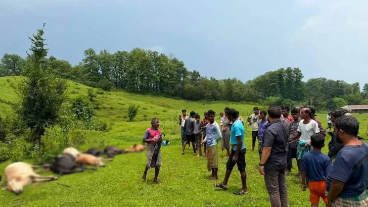 ছবি: সংগৃহীত