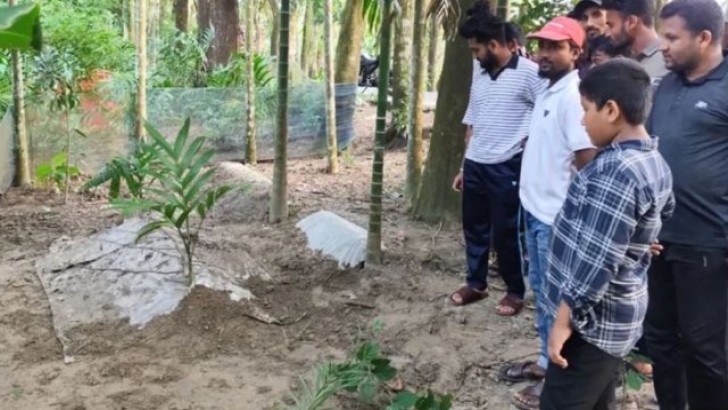 ছবি: সংগৃহীত