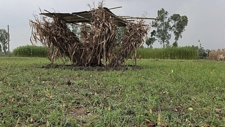 ছবি: নিউজ এক্সপ্রেস